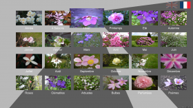 24 possibilités pour explorer les fleurs - Flower Time